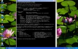 SnapShot.webp