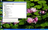 look.webp