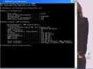 ipconfig.webp
