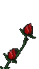bloem6.gif