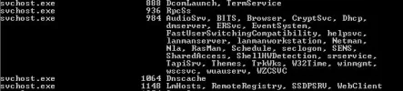 svchost.webp