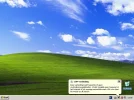 lan error.webp