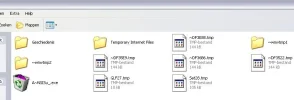 virus.webp