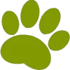 groen.webp