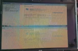 foto1.webp