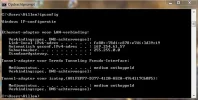IP willem.webp