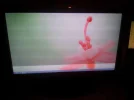 vinny tv.webp