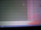 vinny tv3.webp