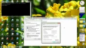 algemeen113.webp
