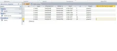 pic1.webp