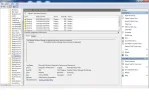 5.webp