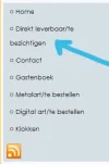 uitlijnen.webp