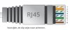 RJ45.jpg