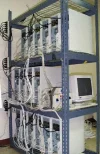 alice_back.webp