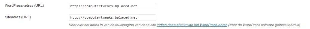 wp.webp wp.webp