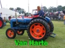 harte.webp