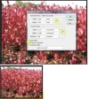 cs62.webp