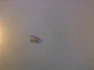 foto (1).webp