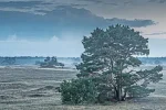 Na zonsondergang.webp