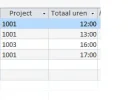 proef.webp