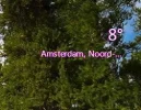 Vreemde weerapp na IE 11.webp