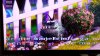 Tv pc 3d.jpg
