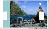 afbeelding.webp