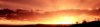 header.jpg
