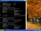 Ipconfig.webp
