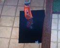 sims.webp sims.webp