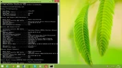 ipconfig all 1.webp