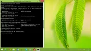 ipconfig release flushdns.webp