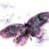 miralis
