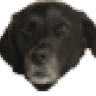 Puechmirou
