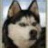 boomer2