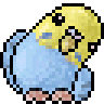 Mrs.Birdlover