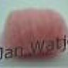 janwatje