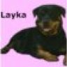 Layka