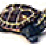 PeterCarapax