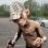 Gert09