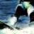 surfing28