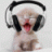 webpie