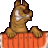FOXY