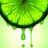Lime